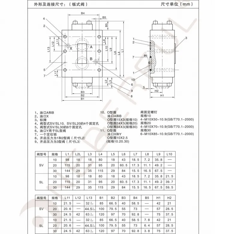 SV SL Hydraulic check valve-5